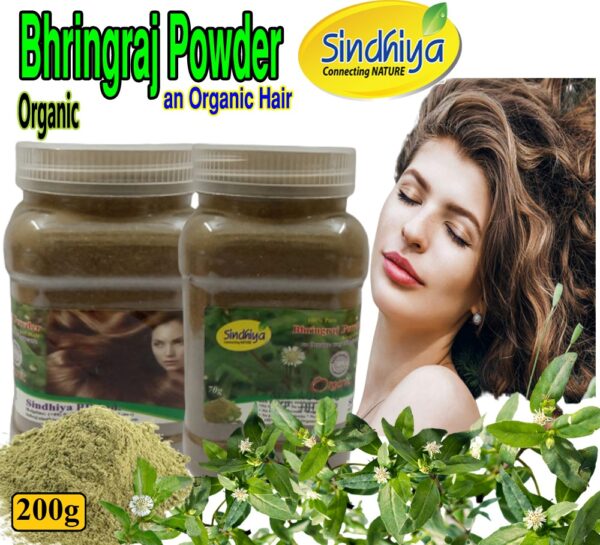 Sindhiya Organic Bhringraj Powder 200g Bhringoraj Bhiringraj 1